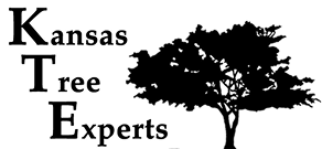 Kansas Tree Experts Logo