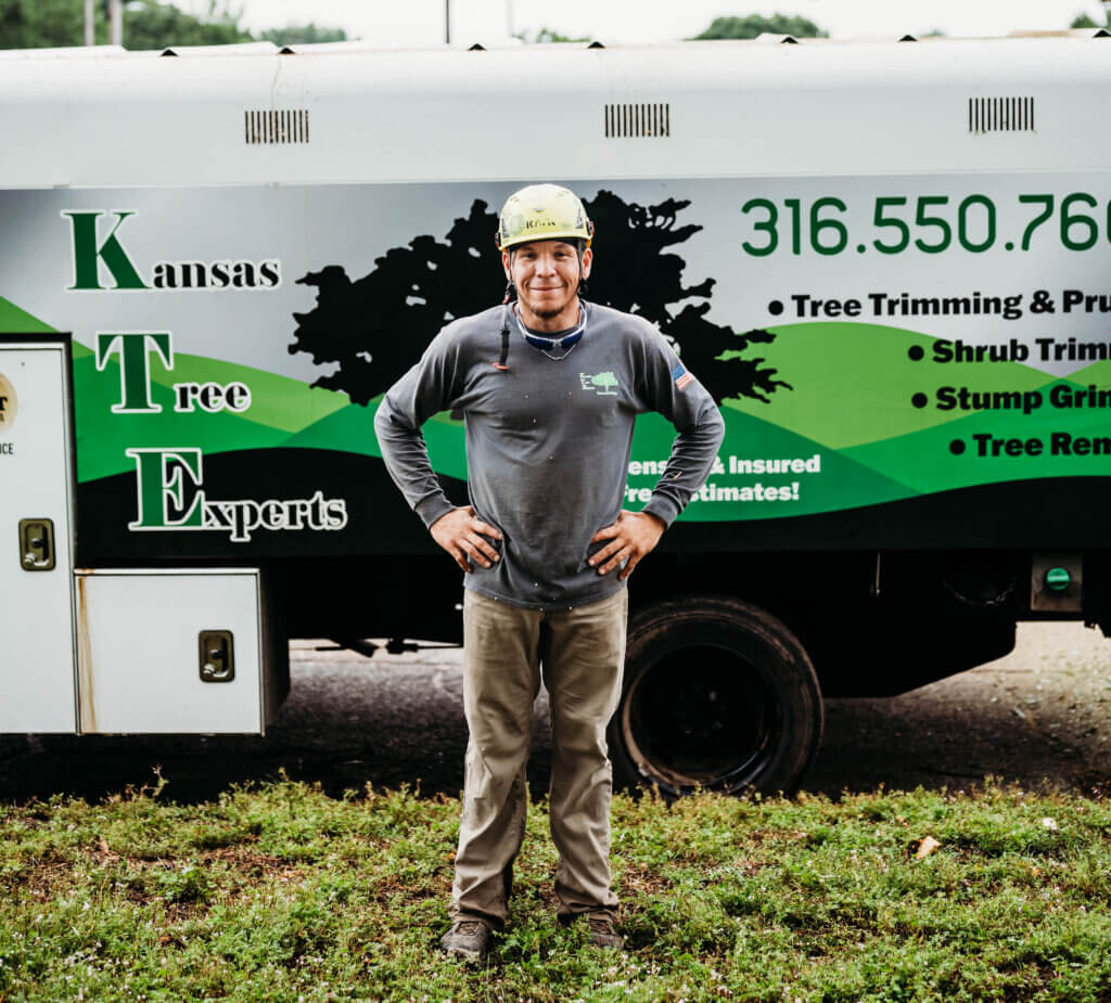 Kansas Tree Experts in Wichita Kansas. Professional Tree Services Providing Tree Removal, Tree Cutting, Tree Trimming and More.