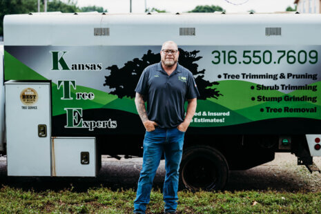 Kansas Tree Experts with Tree Removal in Wichita, Kansas