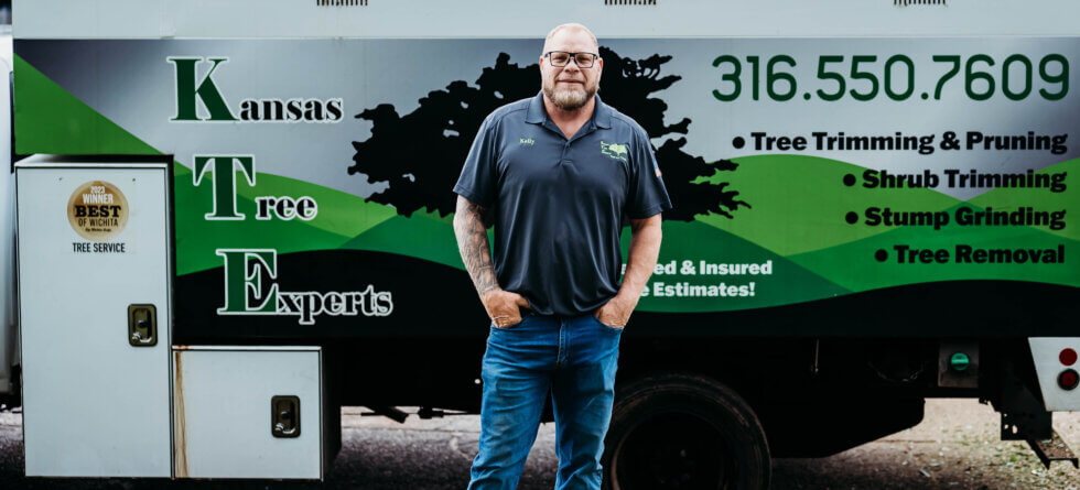 Kansas Tree Experts with Tree Removal in Wichita, Kansas