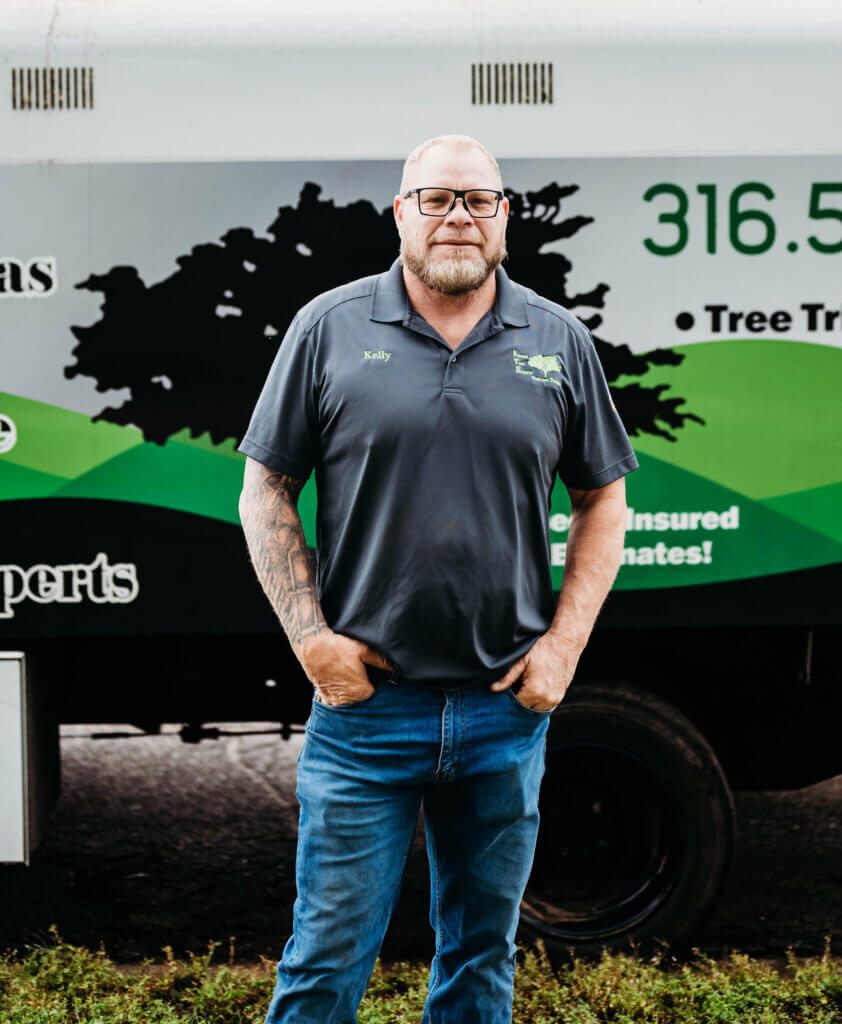 Kansas Tree Experts Tree Services In Wichita Ks. Tree Removal, Tree Trimming and Tree Cutting.