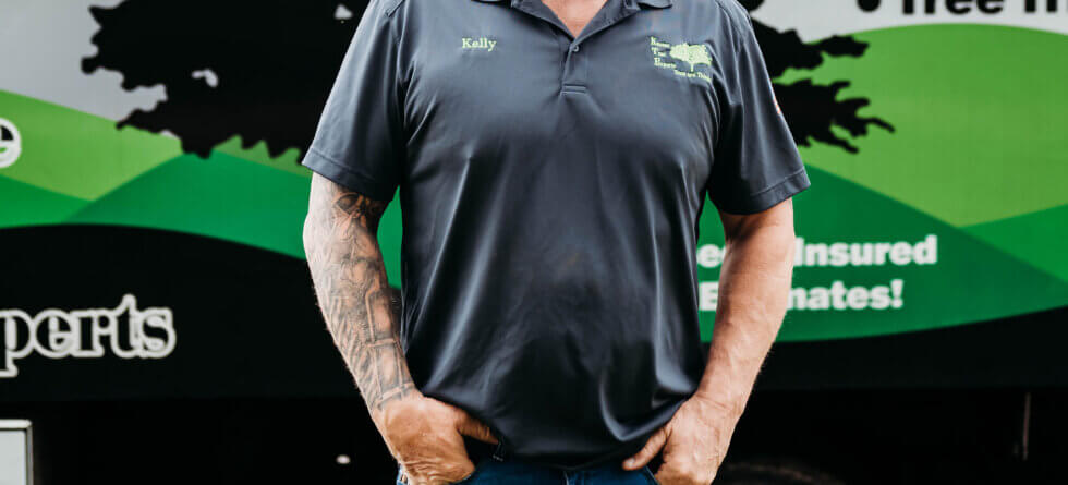 Kansas Tree Experts Tree Services In Wichita Ks. Tree Removal, Tree Trimming and Tree Cutting.