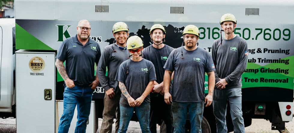 Kansas Tree Experts in Wichita, Kanas. Tree removal, trimming, cleanup, and stump grinding