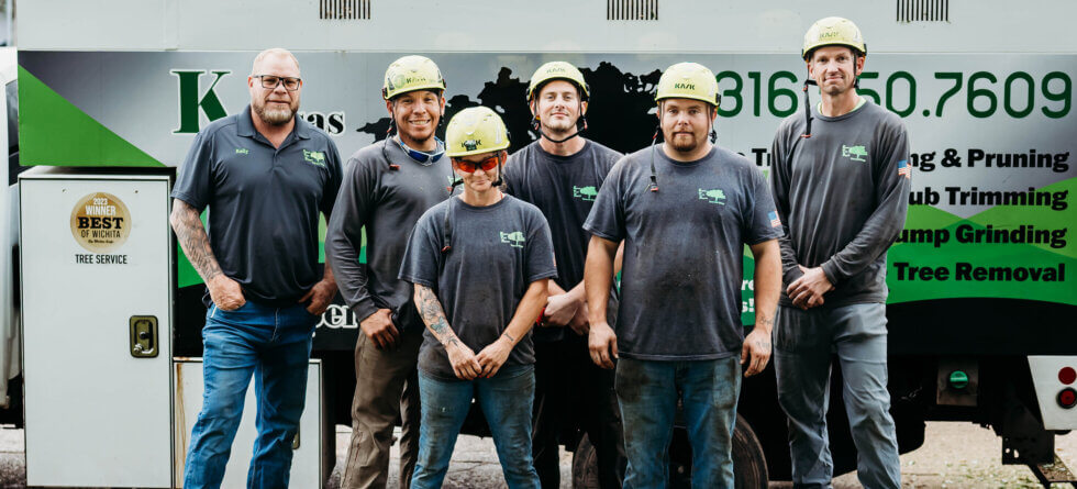 Tree Removal Kansas. Kansas Tree Experts. #1 Tree Services in Wichita and surrouding cities!
