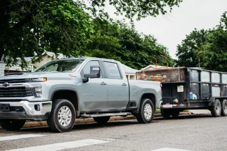 Tree removal in Wichita KS - Kansas Tree Experts