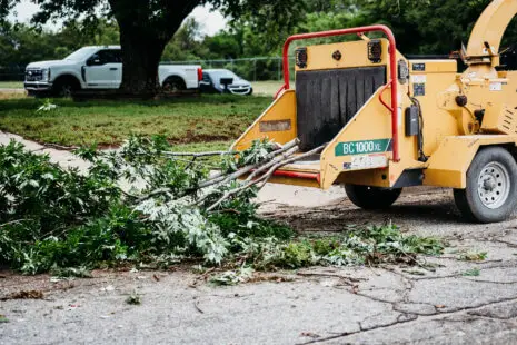 Kansas Tree Experts with Tree Services in Wichita, Ks. Tree Removal in bad weather conditions in WIchita, Ks