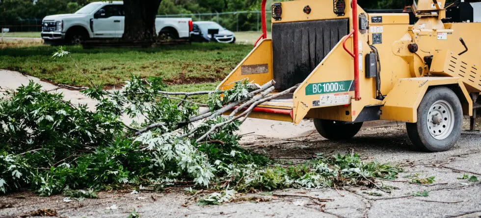 Kansas Tree Experts with Tree Services in Wichita, Ks. Tree Removal in bad weather conditions in WIchita, Ks