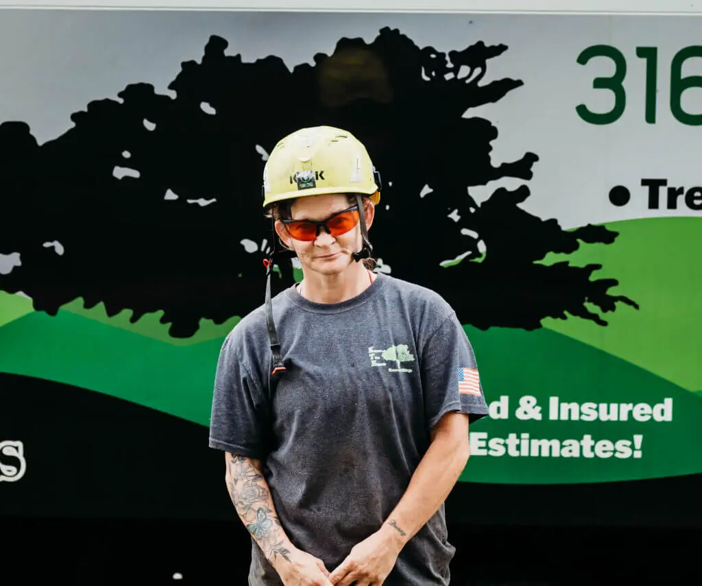 Kansas Tree Experts. The #1 Tree Service in Wichita, Ks and Surrounding Cities. Tree Removal, Tree Cutting, Tree Trimming and Stump Grinding.