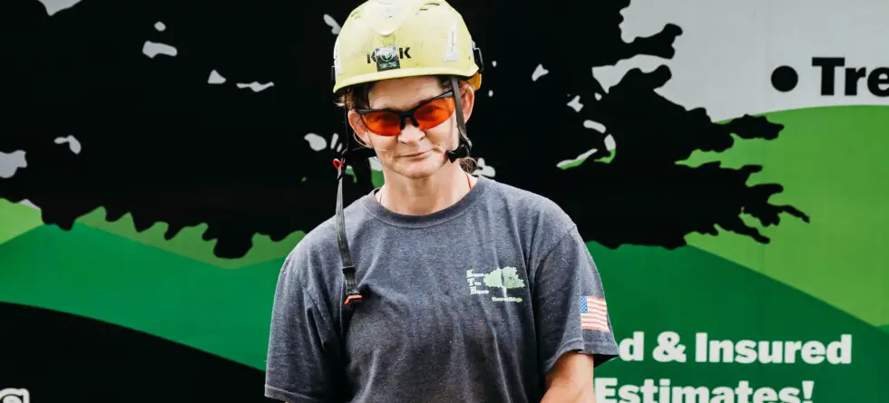 Kansas Tree Experts. The #1 Tree Service in Wichita, Ks and Surrounding Cities. Tree Removal, Tree Cutting, Tree Trimming and Stump Grinding.