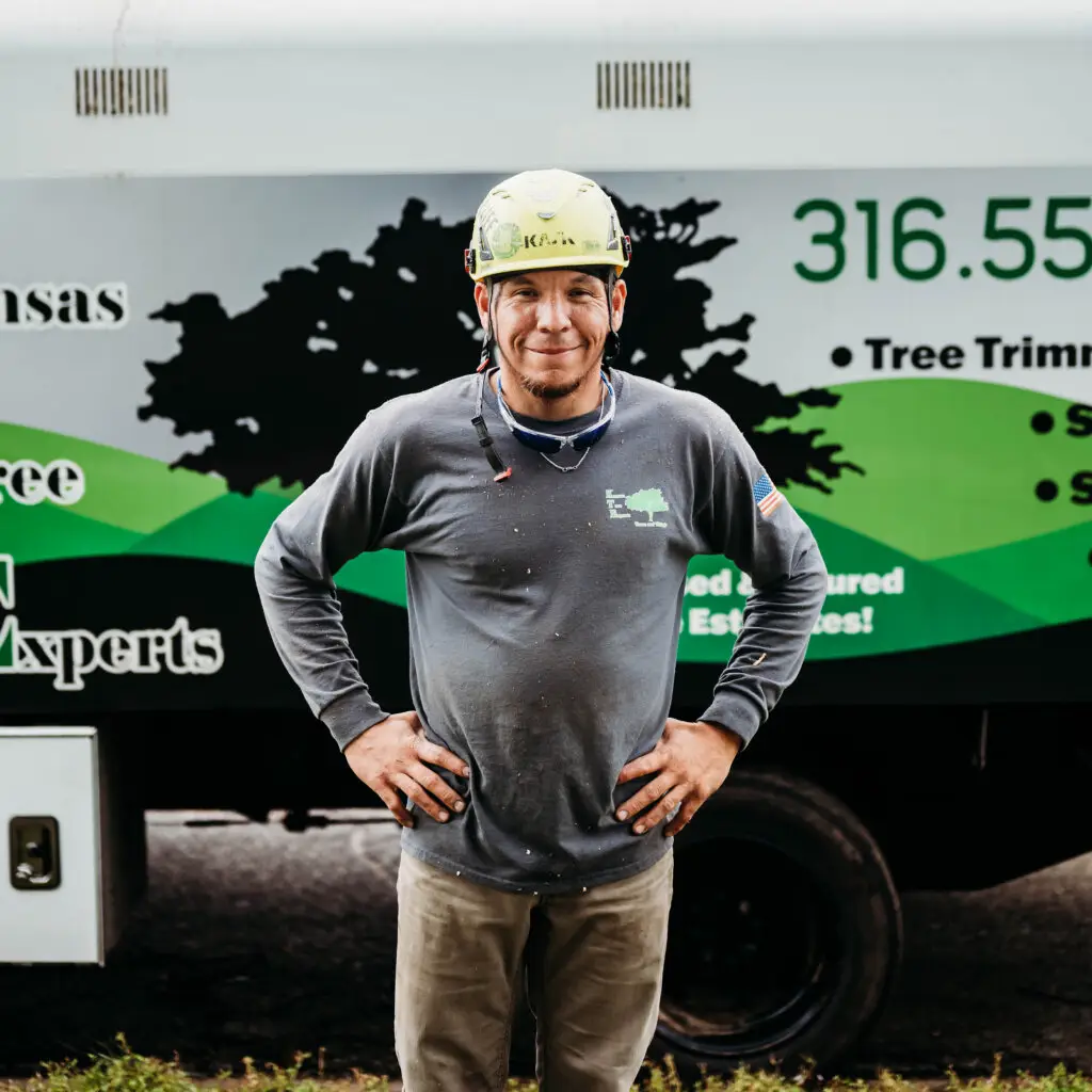 #1 Tree Service in Wichita, Kansas and El Dorado, Kansas. Tree Removal, Stump Grinding, Tree Trimming from Kansas Tree Experts.