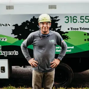 #1 Tree Service in Wichita, Kansas and El Dorado, Kansas. Tree Removal, Stump Grinding, Tree Trimming from Kansas Tree Experts.