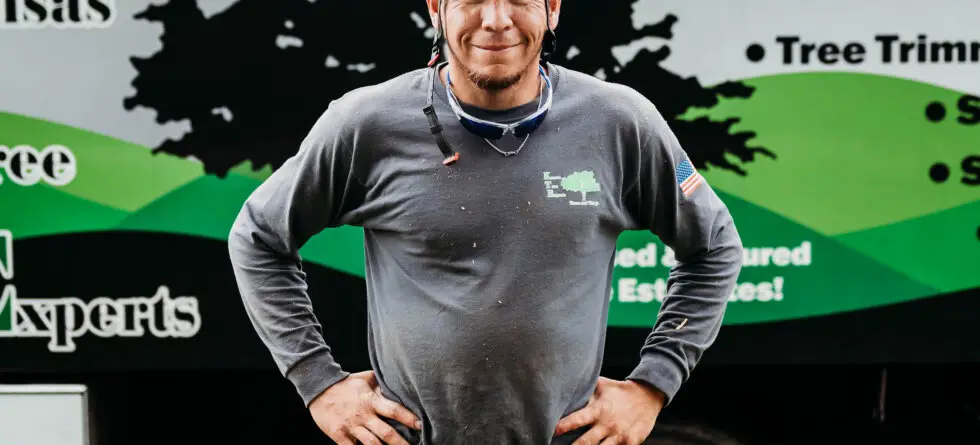 #1 Tree Service in Wichita, Kansas and El Dorado, Kansas. Tree Removal, Stump Grinding, Tree Trimming from Kansas Tree Experts.