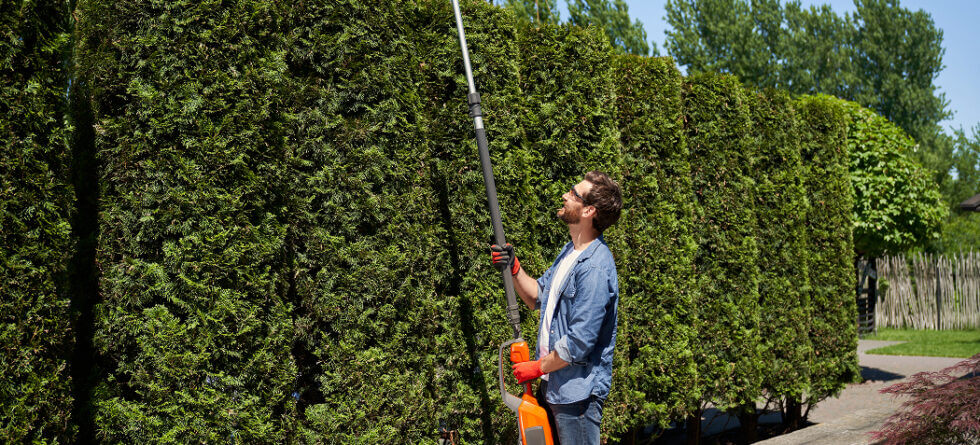 Shrub Shaping Services In Wichita Kansas by Kansas Tree Experts