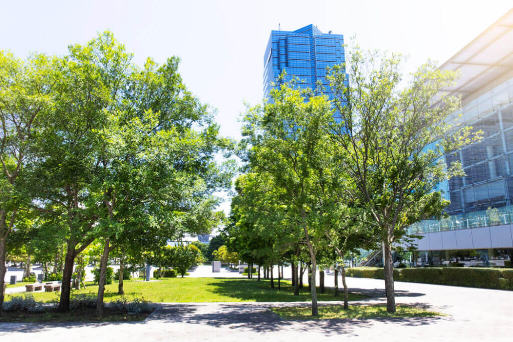 Wichita Commercial Tree Services. Kansas Tree Experts Frequently Asked Questions.