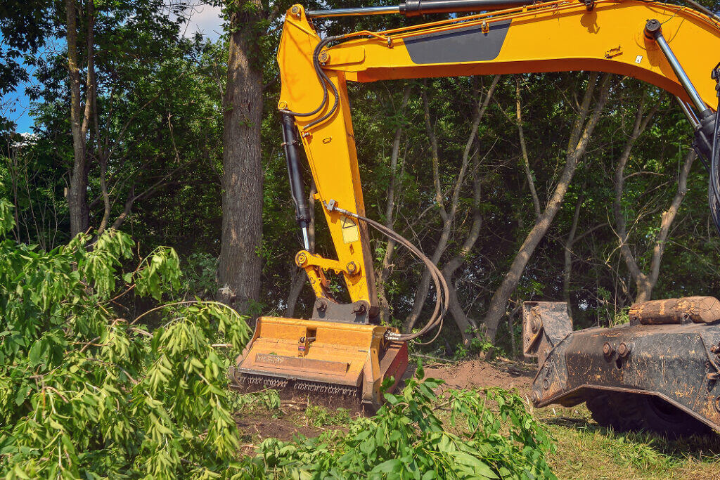 Tree Removal Job Wichita Kansas