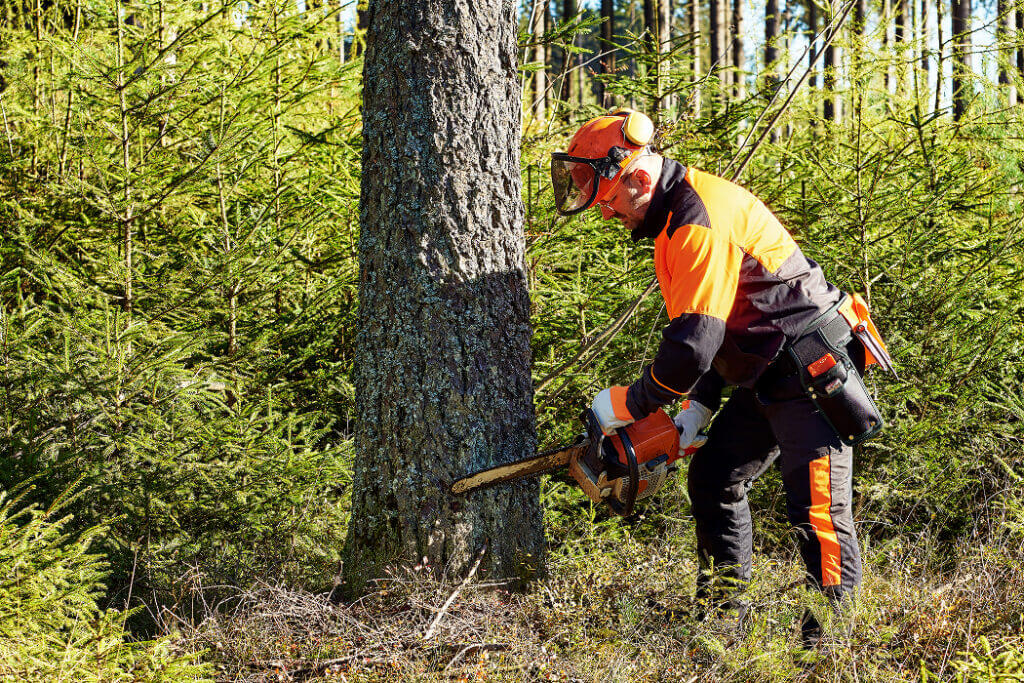 Kansas Tree Experts Tree Removal