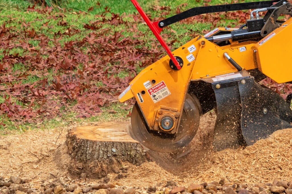 Wichita Stump Grinding and Tree Services in Wichita Kansas for Kansas Tree Experts