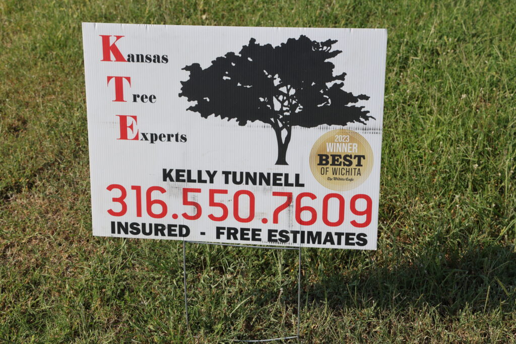 Wichita Tree Experts, the Kansas Tree Experts