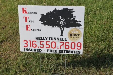 Wichita Tree Experts, the Kansas Tree Experts