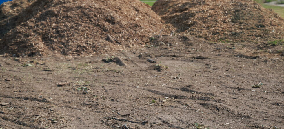 Tree trimming, removal, commercial care, stump grinding, and emergency tree service in Wichita, Kansas by Kansas Tree Experts