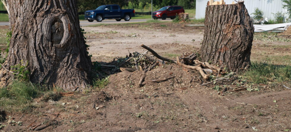 Tree Stump Removal crew grinding stums in Wichita, Kansas