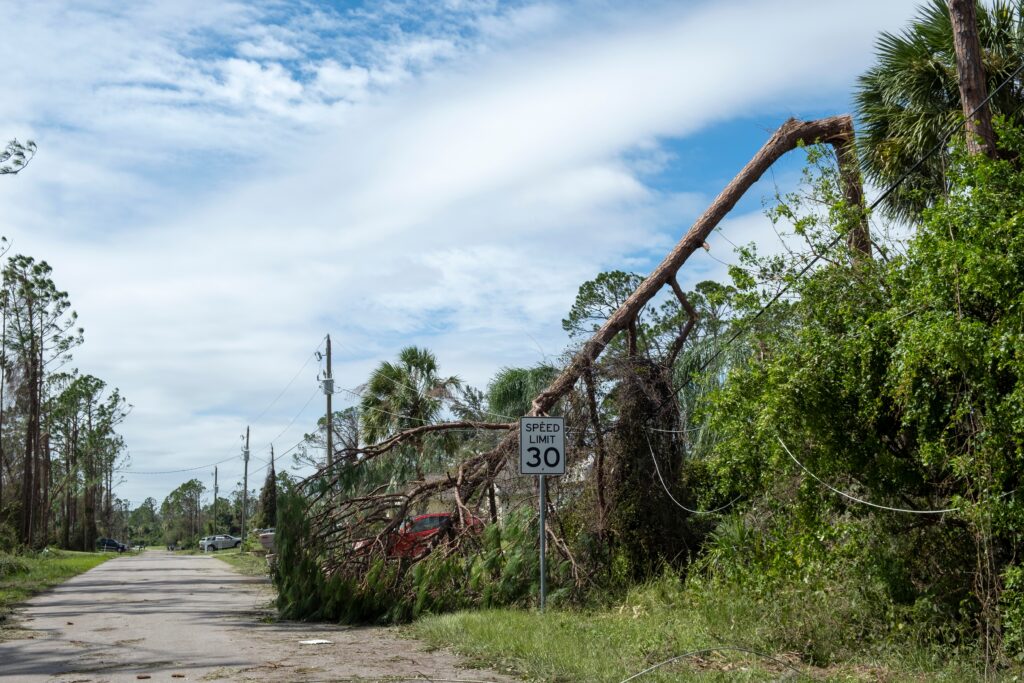 Fast Response Tree Service in Wichita, Kansas