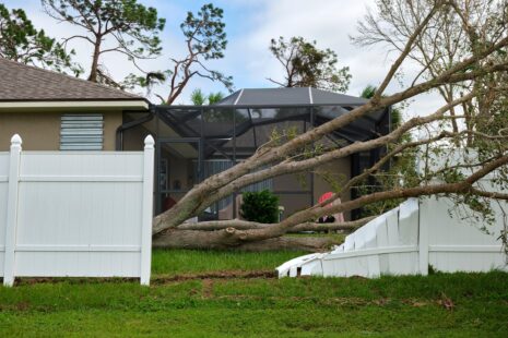 Emergency Tree Removal in Wichita, Kansas by Kansas Tree Experts is 24/7