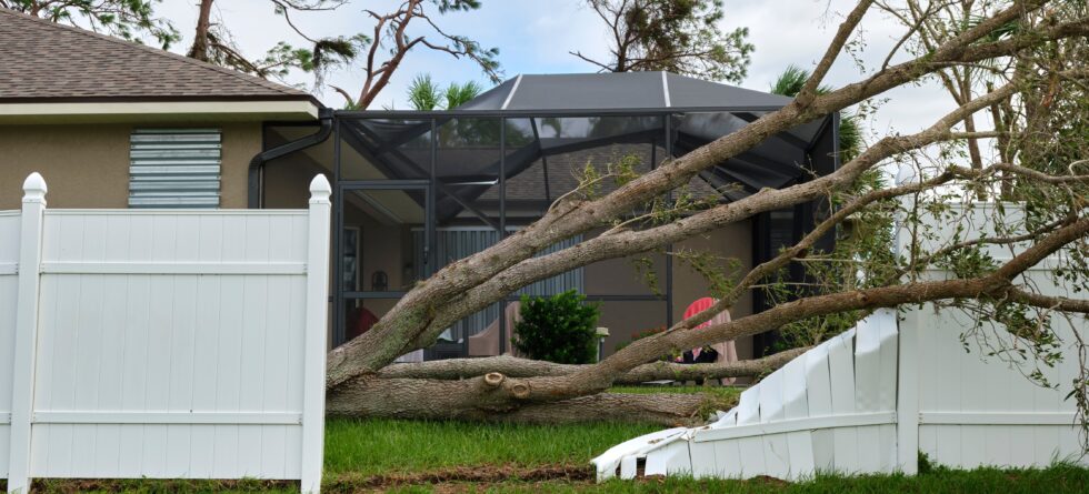 Emergency Tree Removal in Wichita, Kansas by Kansas Tree Experts is 24/7