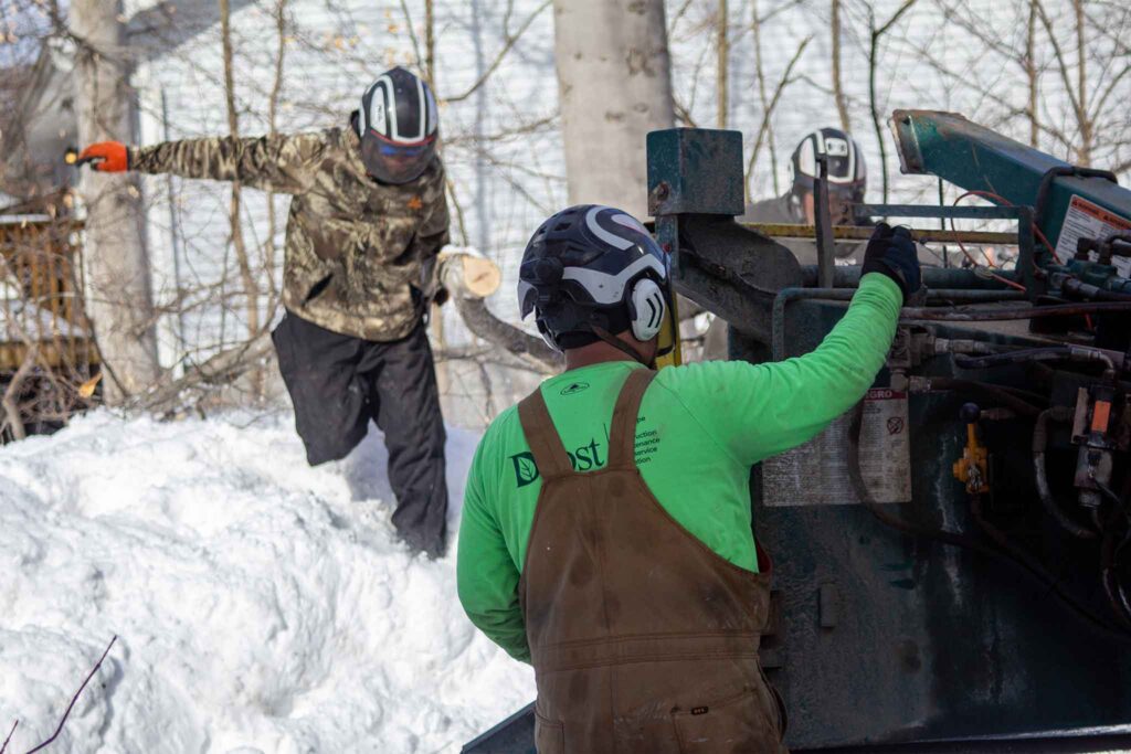Schedule affordable tree removal in Winter Season with Kansas Tree Experts