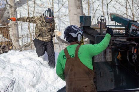 Schedule affordable tree removal in Winter Season with Kansas Tree Experts