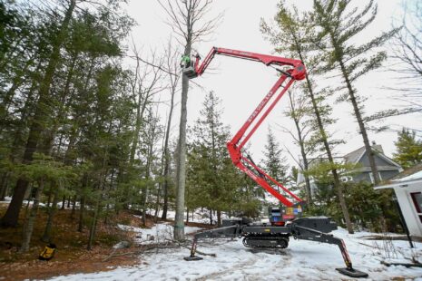 Arborist Tree climbing in winter time at Kansas Tree Experts in Wichita, kansas