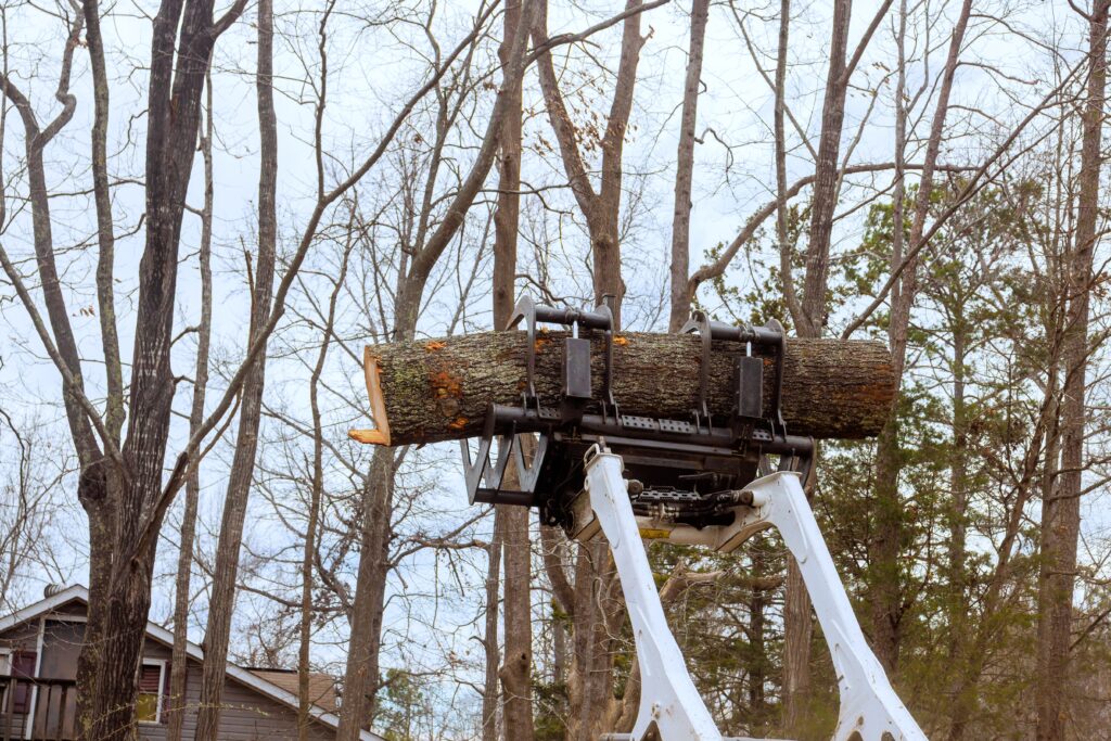 Crane-assisted tree removal of a 100 ft tree in Wichita, KS