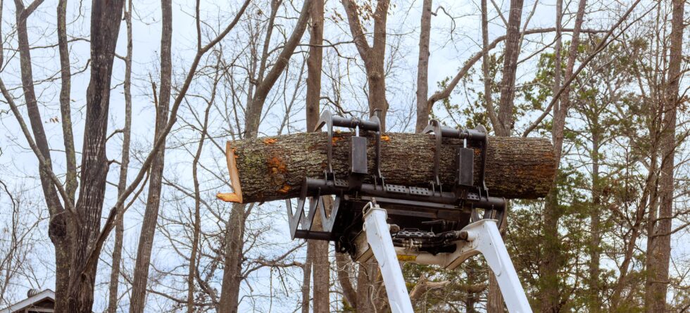 Crane-assisted tree removal of a 100 ft tree in Wichita, KS