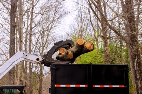 Wichita tree service crew using a forks for large tree removal