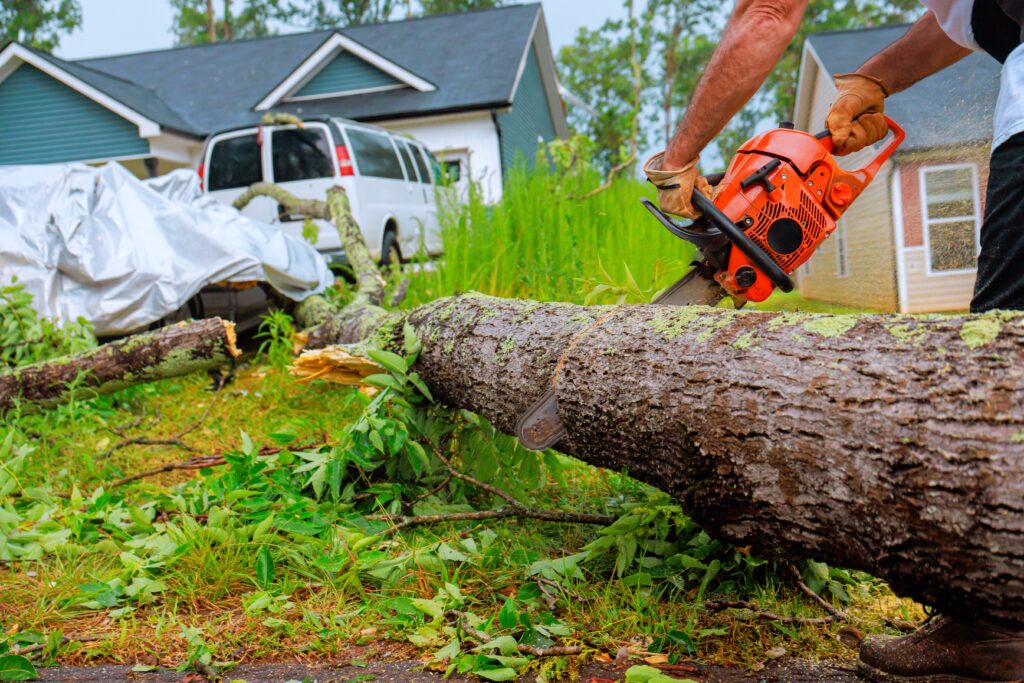 Wichita Tree Services in Wichita, Kansas by Kansas Tree Experts