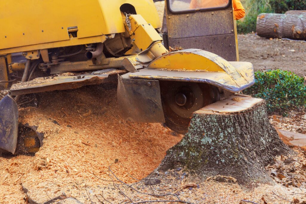 Stump Grinding Tree Services in Wichita, Kansas with Kansas Tree Experts