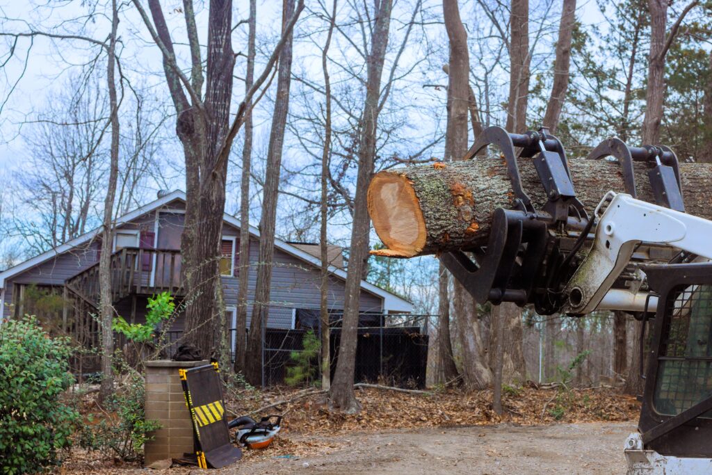 Wichita Tree Services by Kansas Tree Experts like Tree Removal, Tree Cutting, Tree Trimming, and Stump Grinding