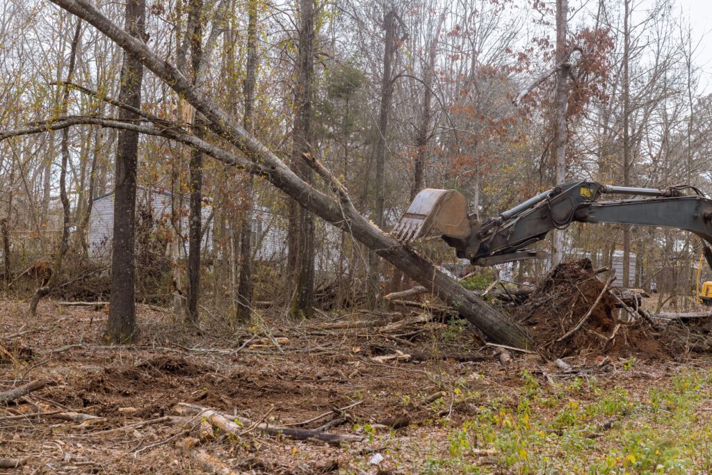 Certified Tree Service Specialist in Wichita, Kansas with Kansas Tree Experts