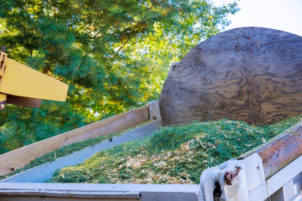 Landscaper and Arborist doing different task on the same tree service job in Wichita, Kansas