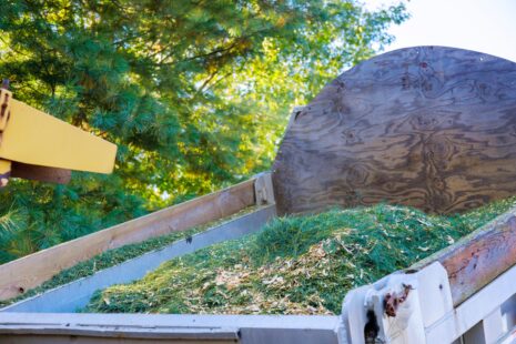 Landscaper and Arborist doing different task on the same tree service job in Wichita, Kansas