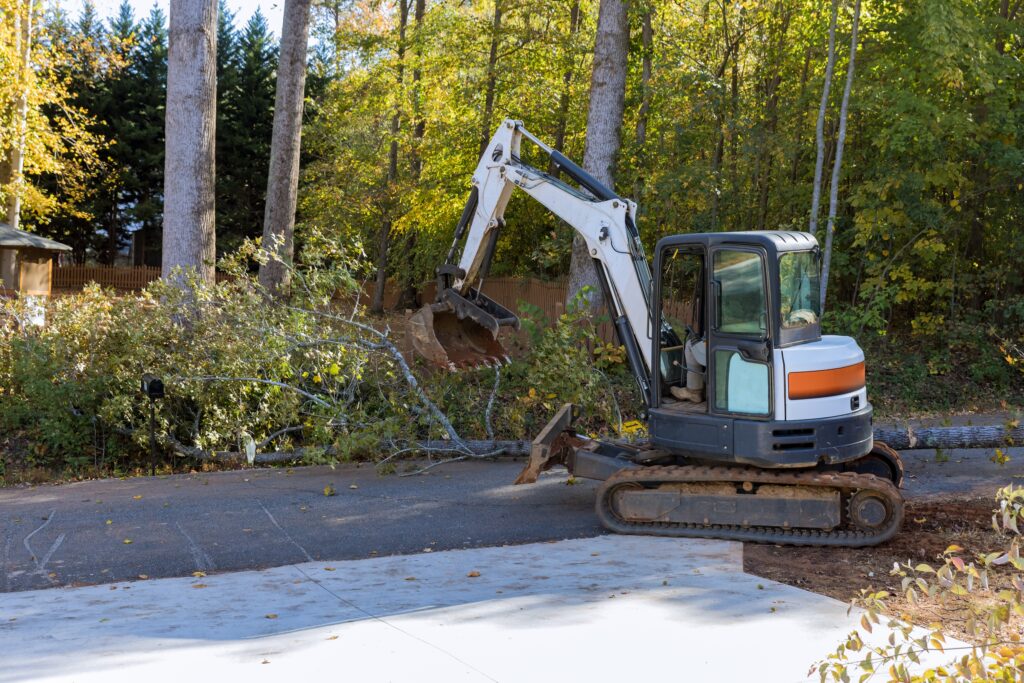 Wichita Tree Services provided by Kansas Tree Experts