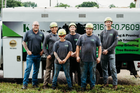 Kansas Tree Expert Tree Trimmers