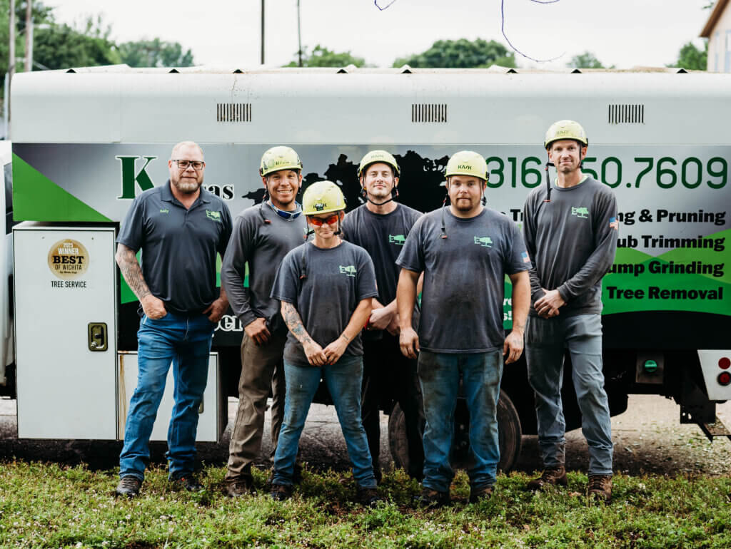Kansas Tree Expert Tree Trimmers