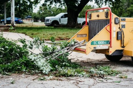 Immediate Tree Trimming and Tree Removal in Wichita, KS by Kansas Tree Experts