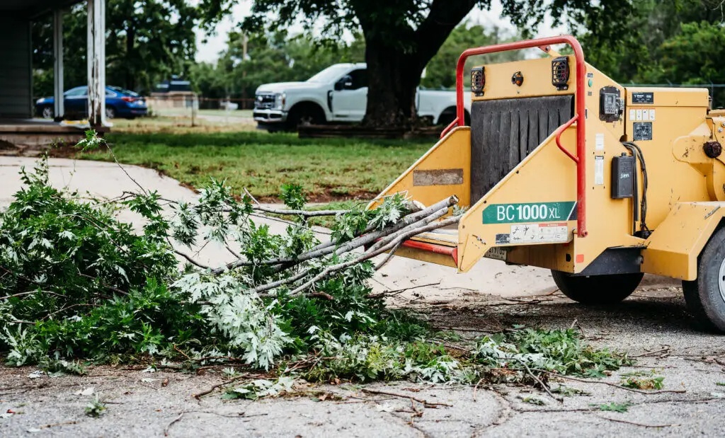 Immediate Tree Trimming and Tree Removal in Wichita, KS by Kansas Tree Experts