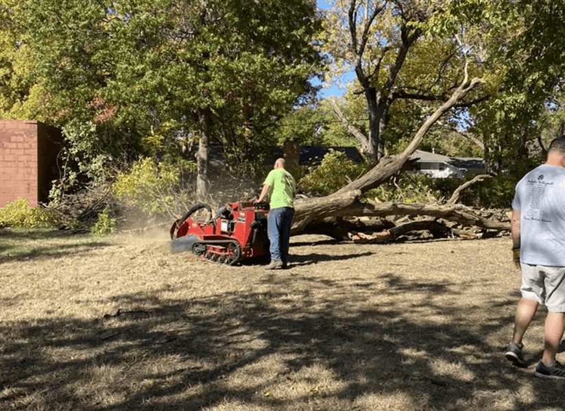 Kansas Tree Experts|Home