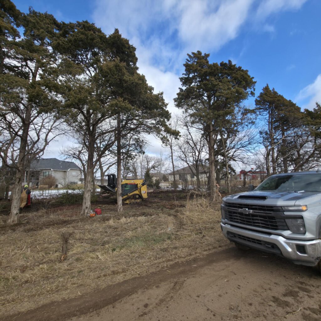 Wichita-Kansas-Tree Experts