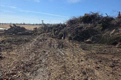Wichita-Kansas-Tree-Experts