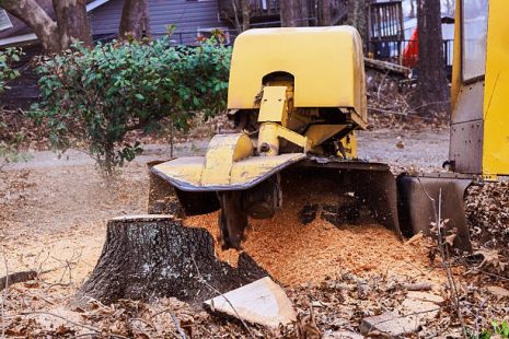Stump Grinding