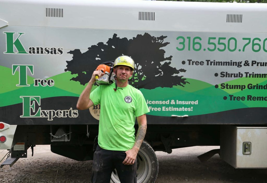 Tree-Trimming-Mistakes-Information-Kansas-Tree-Experts